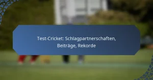 Test-Cricket: Schlagpartnerschaften, Beiträge, Rekorde