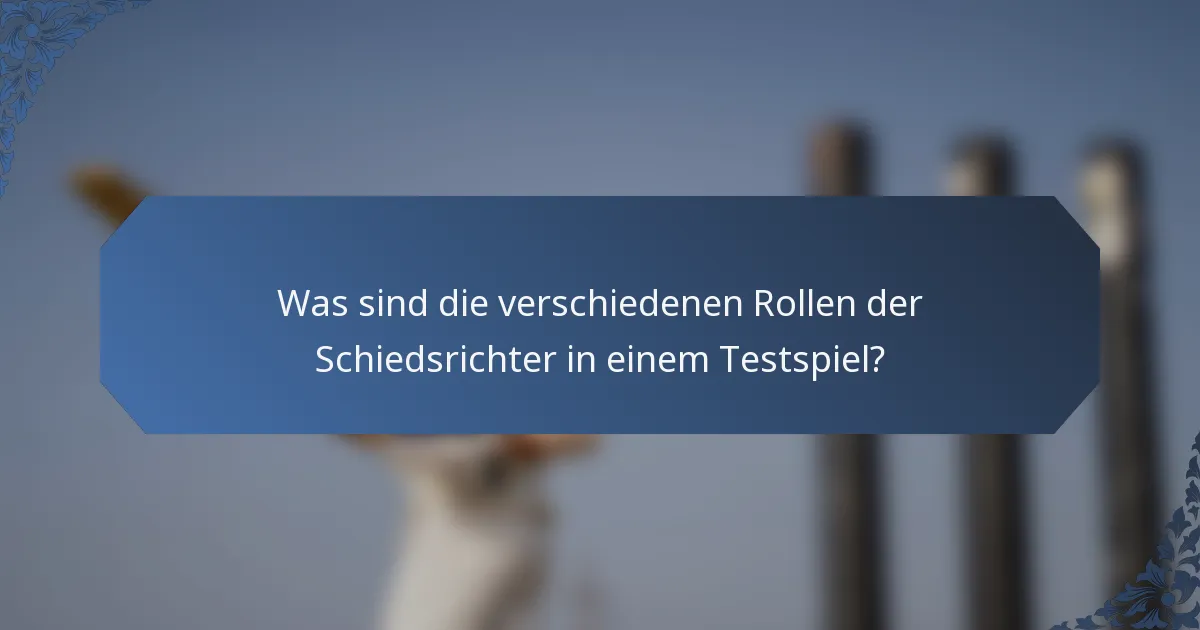 Was sind die verschiedenen Rollen der Schiedsrichter in einem Testspiel?