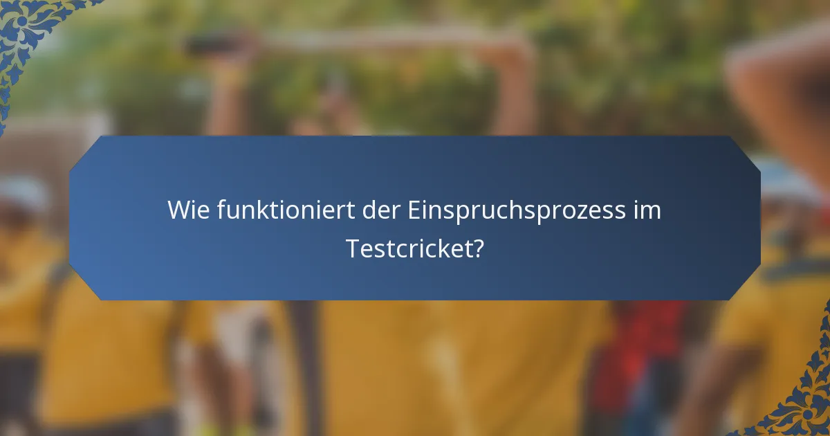Wie funktioniert der Einspruchsprozess im Testcricket?
