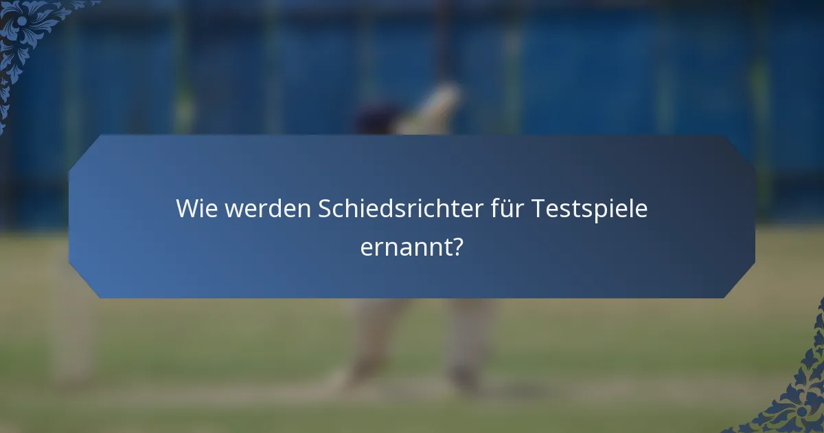 Wie werden Schiedsrichter für Testspiele ernannt?
